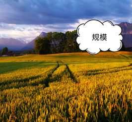 科技賦能農業(yè)，智慧引領電商——為農產品電商領域中的農業(yè)技術研究者點贊